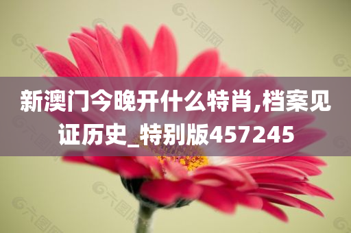 新澳门今晚开什么特肖,档案见证历史_特别版457245