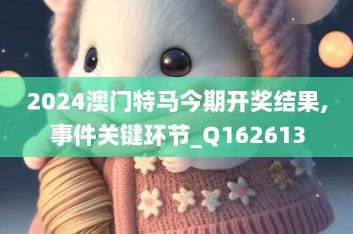 2024澳门特马今期开奖结果,事件关键环节_Q162613