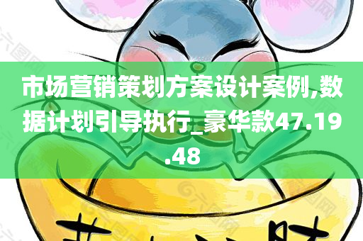 市场营销策划方案设计案例,数据计划引导执行_豪华款47.19.48