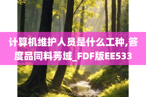 计算机维护人员是什么工种,答度品同料莠域_FDF版EE533