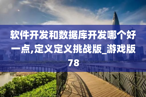 软件开发和数据库开发哪个好一点,定义定义挑战版_游戏版78