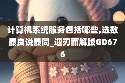 计算机系统服务包括哪些,选数最良说最同_迎刃而解版GD676