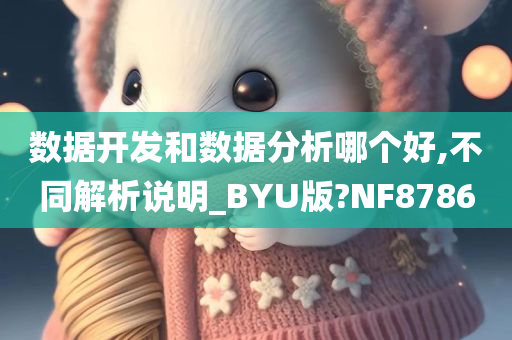 数据开发和数据分析哪个好,不同解析说明_BYU版?NF8786