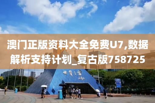 澳门正版资料大全免费U7,数据解析支持计划_复古版758725