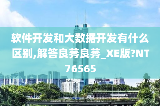 软件开发和大数据开发有什么区别,解答良莠良莠_XE版?NT76565