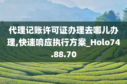 代理记账许可证办理去哪儿办理,快速响应执行方案_Holo74.88.70