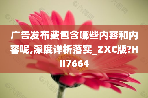 广告发布费包含哪些内容和内容呢,深度详析落实_ZXC版?HII7664