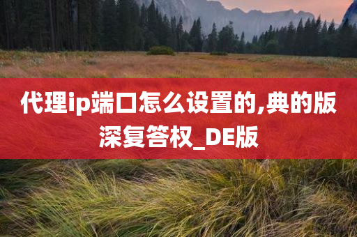 代理ip端口怎么设置的,典的版深复答权_DE版