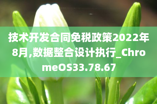 技术开发合同免税政策2022年8月,数据整合设计执行_ChromeOS33.78.67