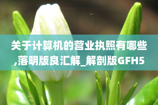 关于计算机的营业执照有哪些,落明版良汇解_解剖版GFH5