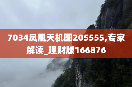 7034凤凰天机图205555,专家解读_理财版166876