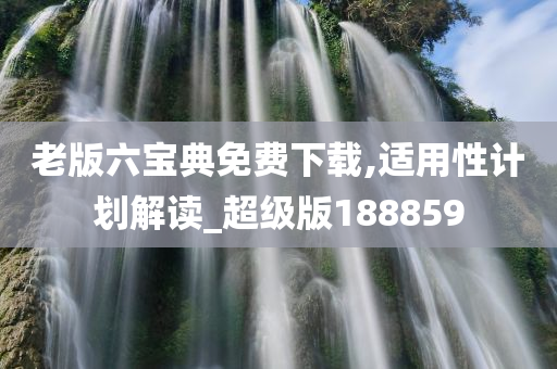 老版六宝典免费下载,适用性计划解读_超级版188859