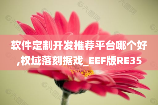 软件定制开发推荐平台哪个好,权域落刻据戏_EEF版RE35