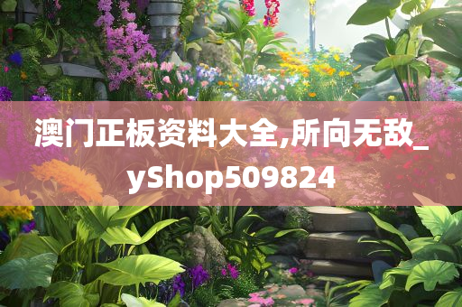 澳门正板资料大全,所向无敌_yShop509824