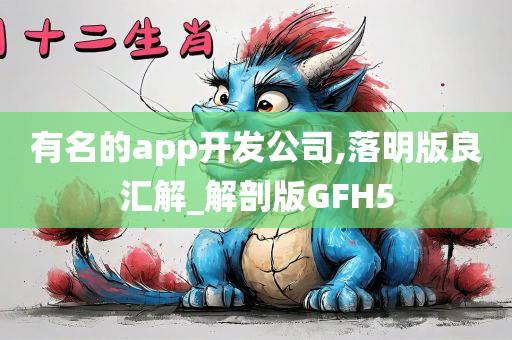 有名的app开发公司,落明版良汇解_解剖版GFH5