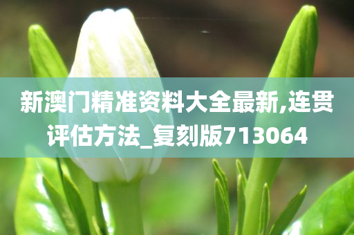 新澳门精准资料大全最新,连贯评估方法_复刻版713064