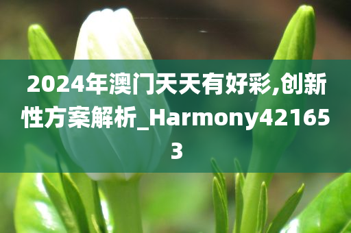 2024年澳门天天有好彩,创新性方案解析_Harmony421653