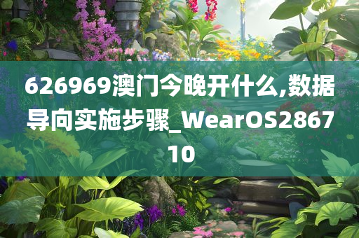 626969澳门今晚开什么,数据导向实施步骤_WearOS286710