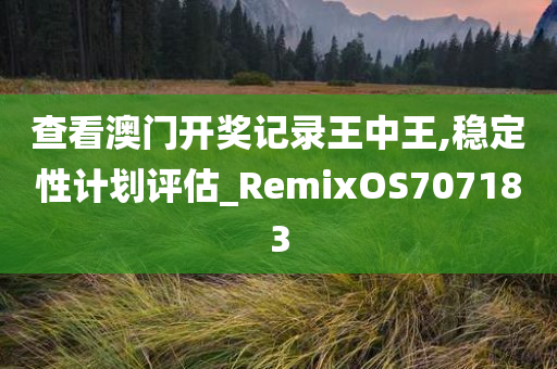 查看澳门开奖记录王中王,稳定性计划评估_RemixOS707183