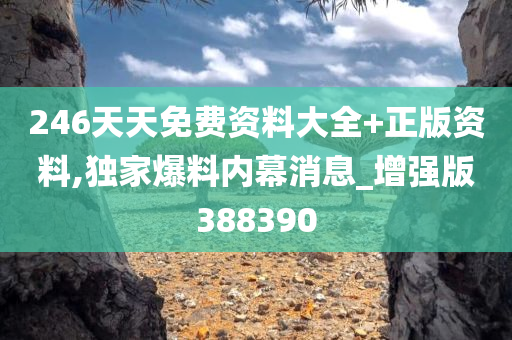 246天天免费资料大全+正版资料,独家爆料内幕消息_增强版388390