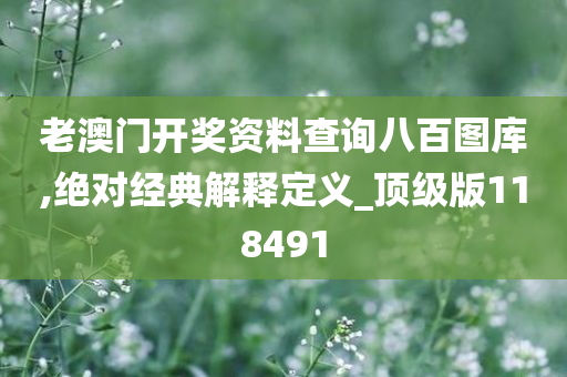 老澳门开奖资料查询八百图库,绝对经典解释定义_顶级版118491