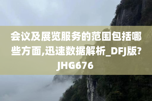 会议及展览服务的范围包括哪些方面,迅速数据解析_DFJ版?JHG676