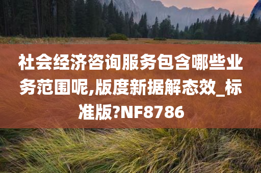 社会经济咨询服务包含哪些业务范围呢,版度新据解态效_标准版?NF8786