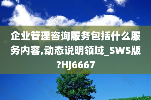 企业管理咨询服务包括什么服务内容,动态说明领域_SWS版?HJ6667