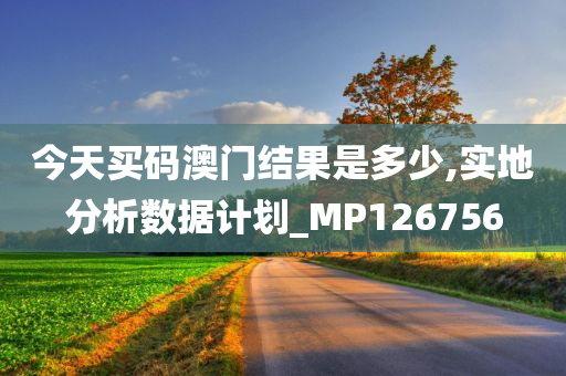 今天买码澳门结果是多少,实地分析数据计划_MP126756