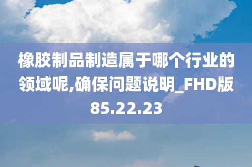 橡胶制品制造属于哪个行业的领域呢,确保问题说明_FHD版85.22.23