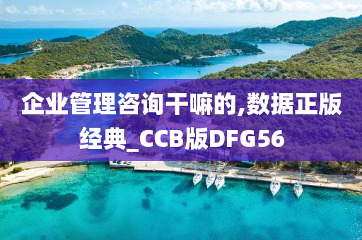 企业管理咨询干嘛的,数据正版经典_CCB版DFG56