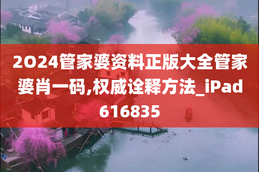 2O24管家婆资料正版大全管家婆肖一码,权威诠释方法_iPad616835