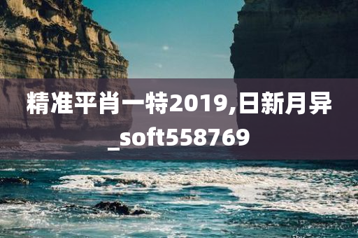 精准平肖一特2019,日新月异_soft558769