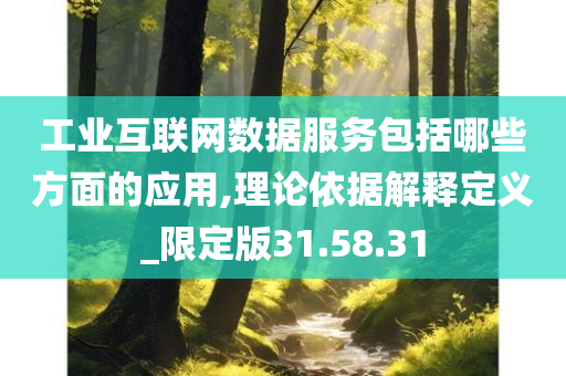 工业互联网数据服务包括哪些方面的应用,理论依据解释定义_限定版31.58.31