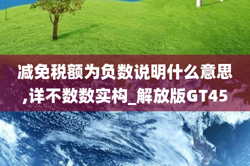 减免税额为负数说明什么意思,详不数数实构_解放版GT45