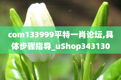 com133999平特一肖论坛,具体步骤指导_uShop343130