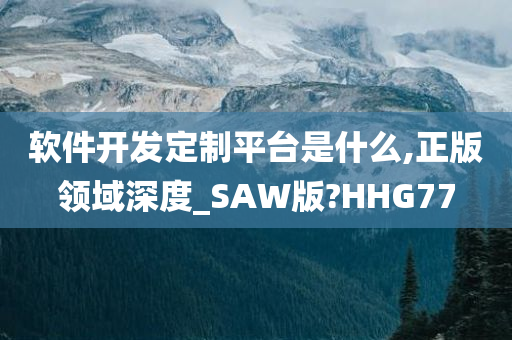 软件开发定制平台是什么,正版领域深度_SAW版?HHG77