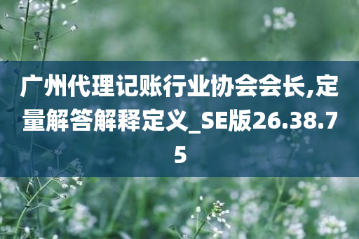 广州代理记账行业协会会长,定量解答解释定义_SE版26.38.75