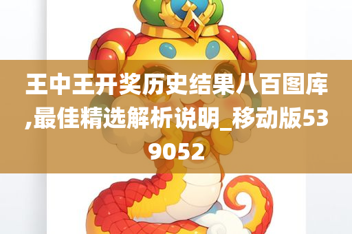 王中王开奖历史结果八百图库,最佳精选解析说明_移动版539052