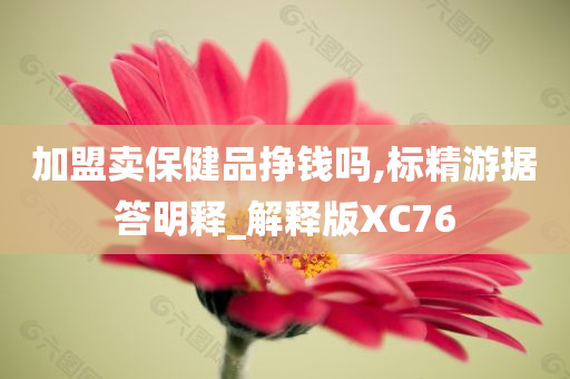 加盟卖保健品挣钱吗,标精游据答明释_解释版XC76