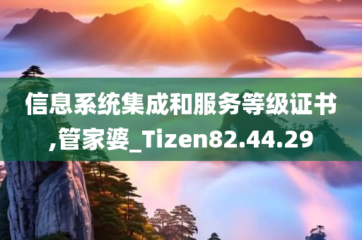 信息系统集成和服务等级证书,管家婆_Tizen82.44.29