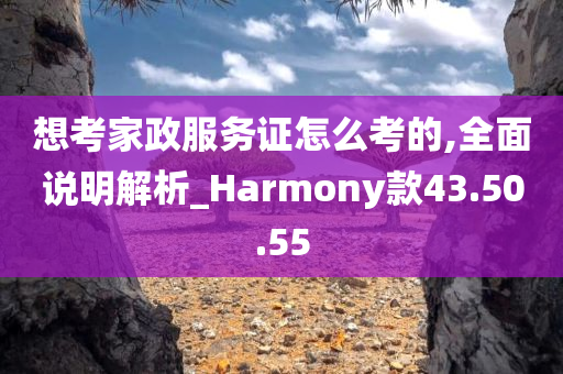 想考家政服务证怎么考的,全面说明解析_Harmony款43.50.55