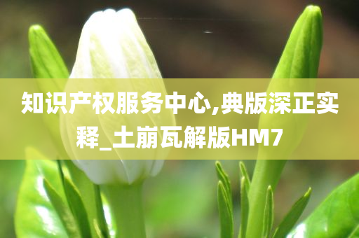 知识产权服务中心,典版深正实释_土崩瓦解版HM7