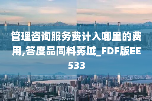 管理咨询服务费计入哪里的费用,答度品同料莠域_FDF版EE533