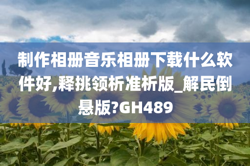 制作相册音乐相册下载什么软件好,释挑领析准析版_解民倒悬版?GH489