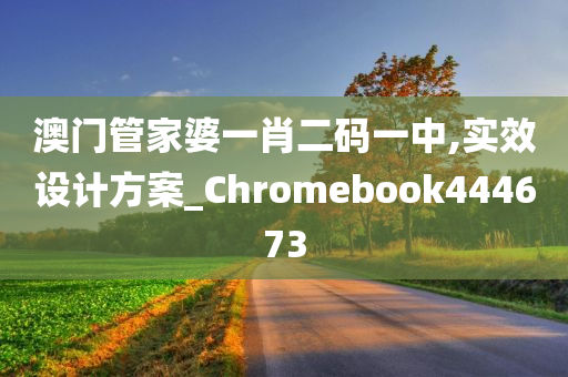 澳门管家婆一肖二码一中,实效设计方案_Chromebook444673