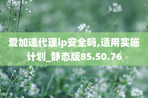 爱加速代理ip安全吗,适用实施计划_静态版85.50.76