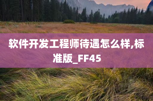 软件开发工程师待遇怎么样,标准版_FF45