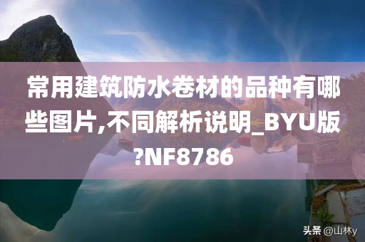 常用建筑防水卷材的品种有哪些图片,不同解析说明_BYU版?NF8786