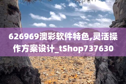 626969澳彩软件特色,灵活操作方案设计_tShop737630